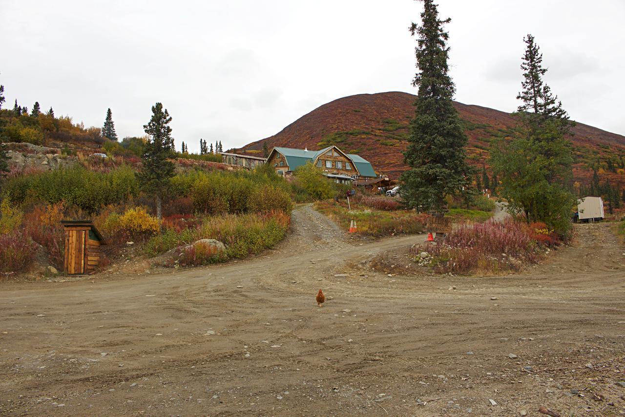 Alpine Creek Lodge Cantwell Esterno foto